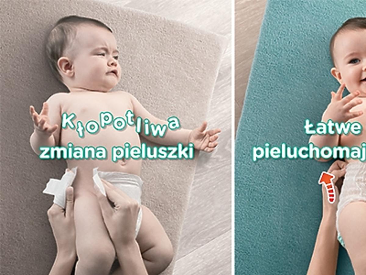 pieluchy kot kraków