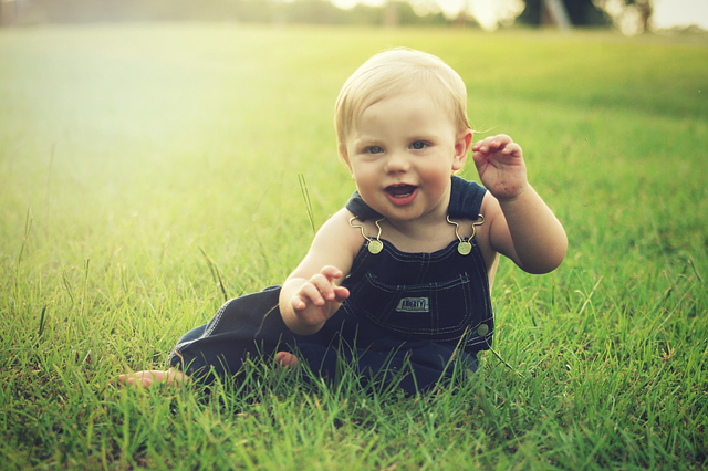 are pampers biodegradable