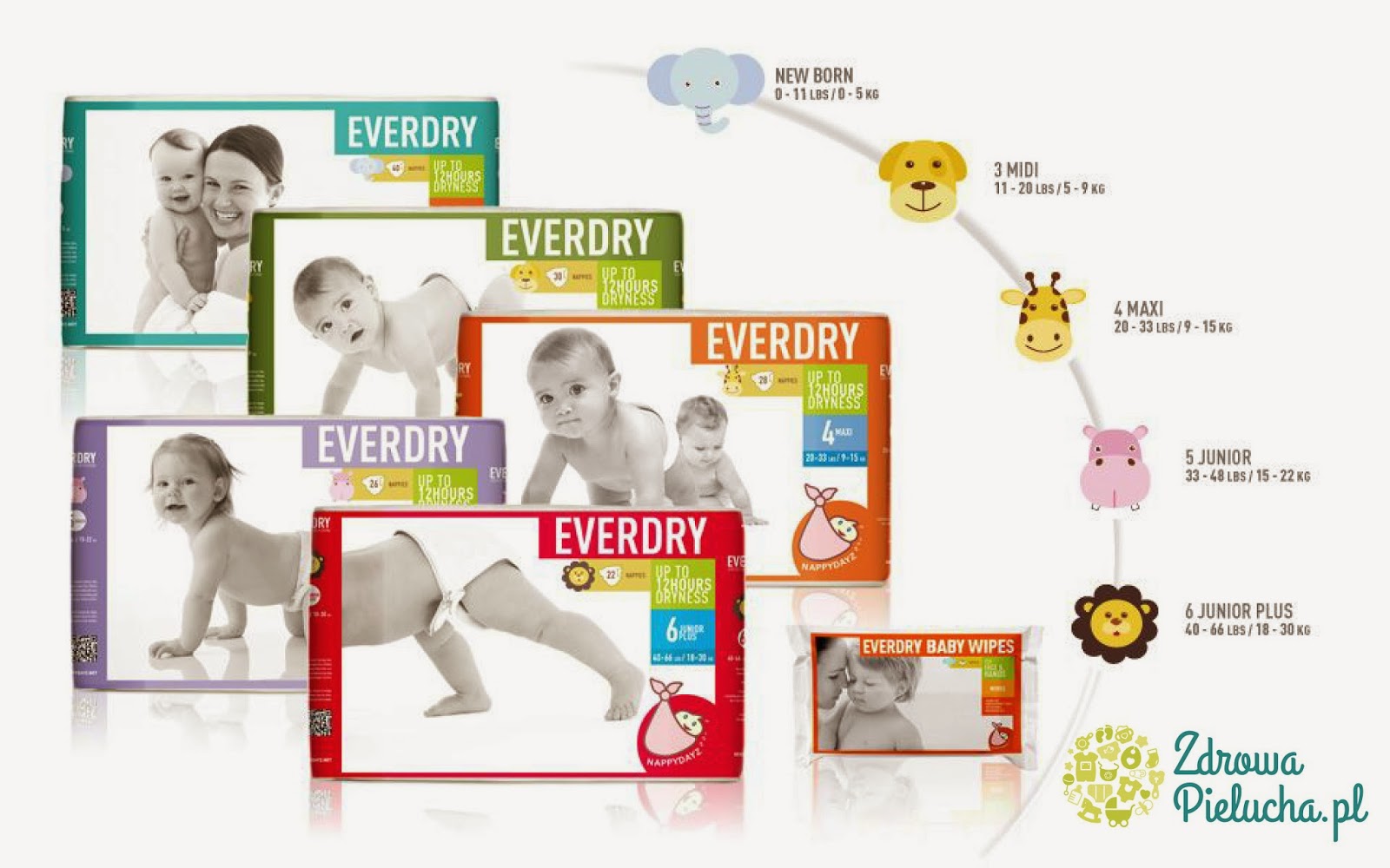 pieluchy pampers 4 ceneo