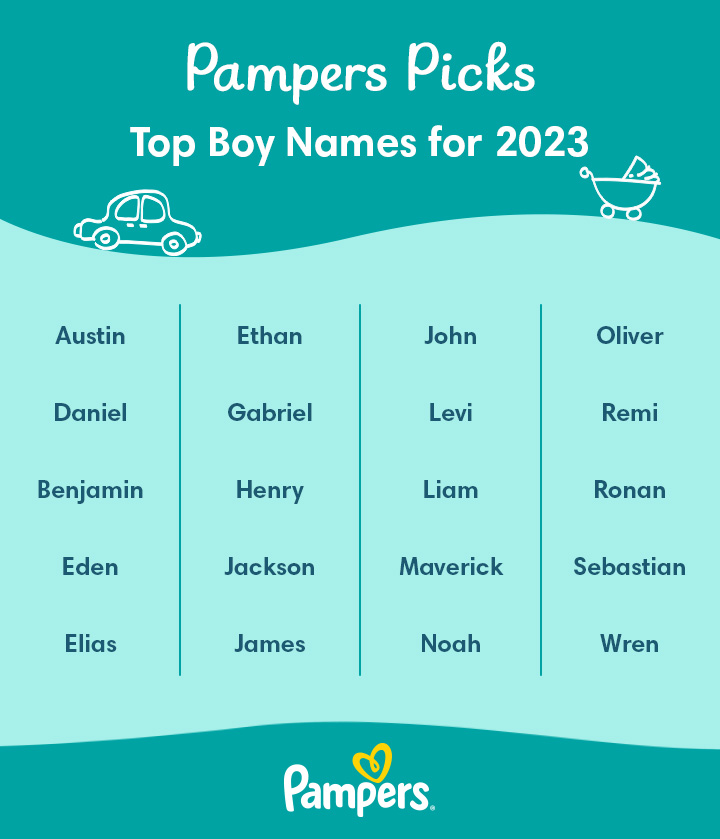 pampers 3 rosman