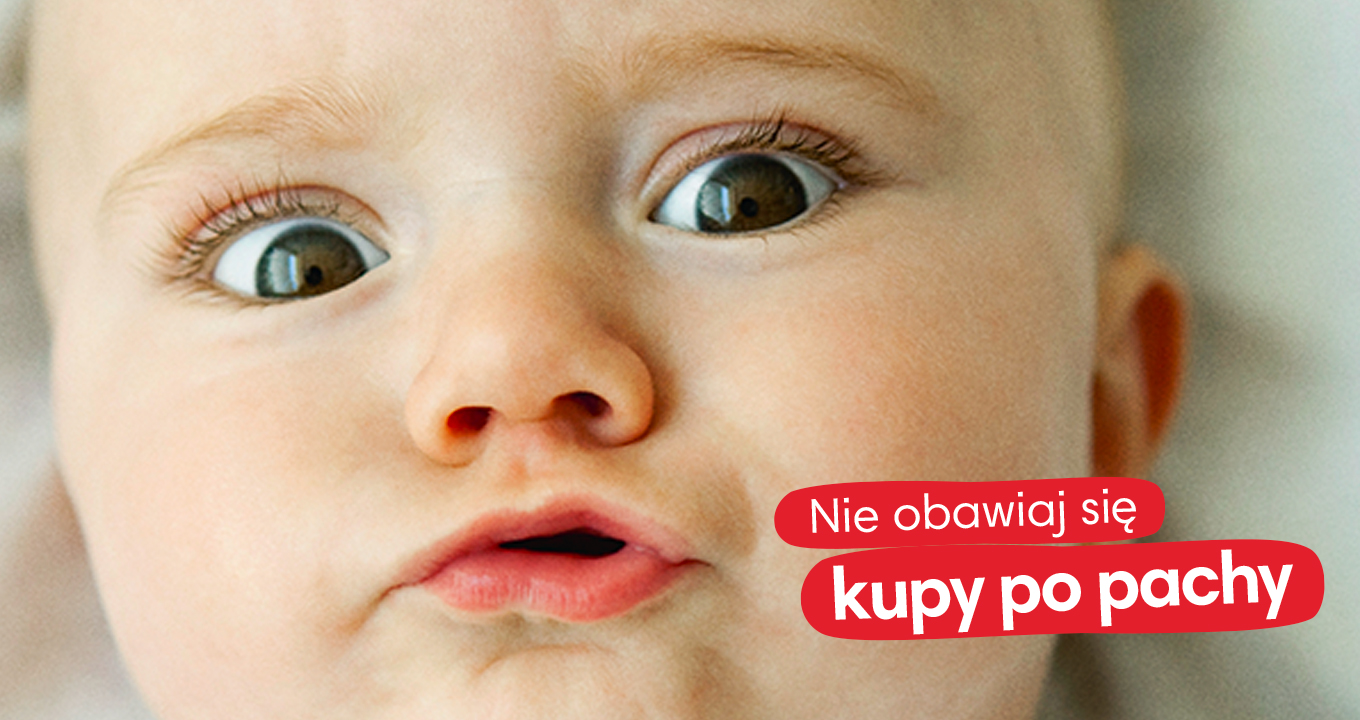 pieluchy dla psów dorosłych