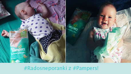 pampers active baby maxi