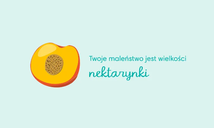 pudełko na chusteczki nawilżane smyk