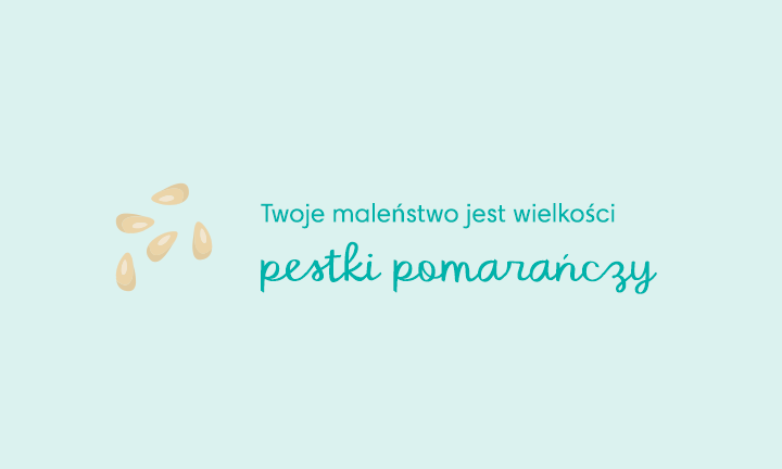 pieluszki jednorazowe z wycięciem na pępek pampers