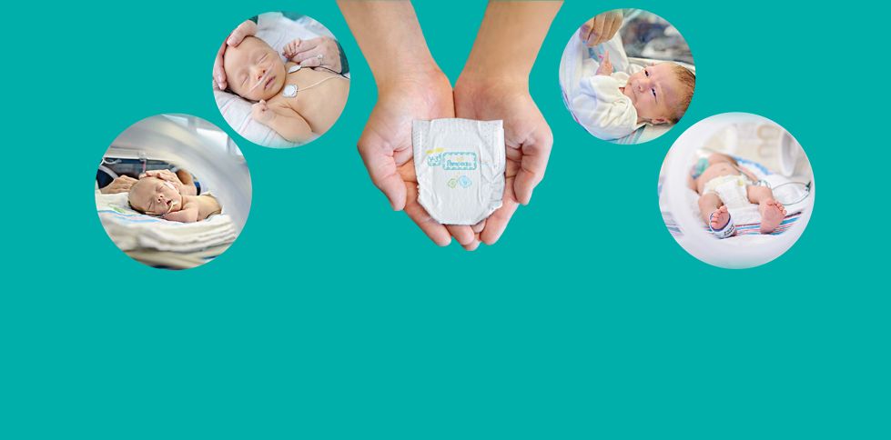 pampers pieluchomajtki premium care 4 ceneo