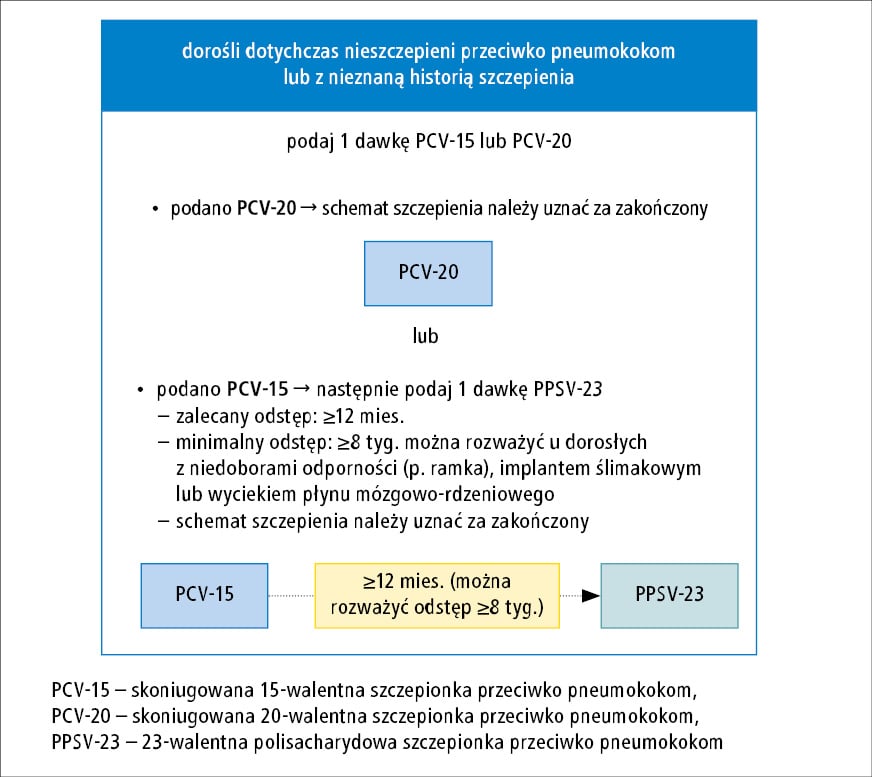 allegro pieluchy dla dorosłych