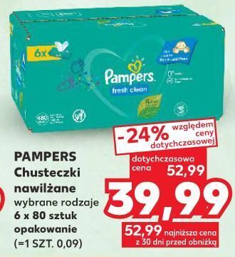 pampers pants 24