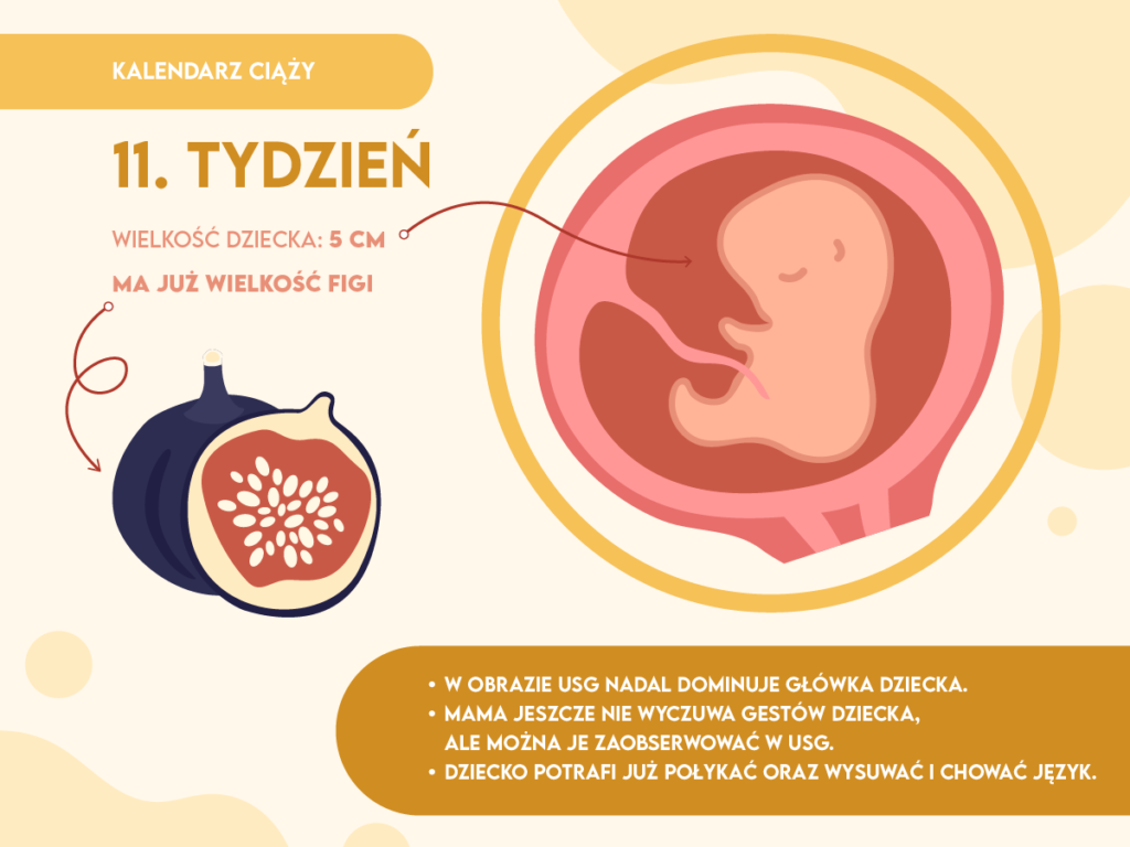 pieluchy tetrowe na bioderka jaki rozmiar