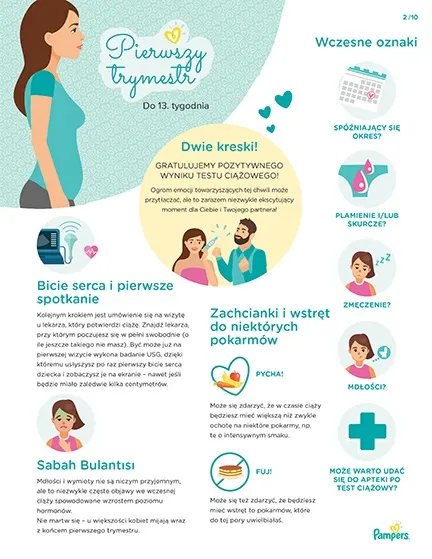 tesco lublin pampers premium care 4